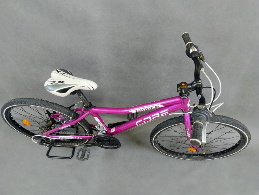 CORE Nipper Purple